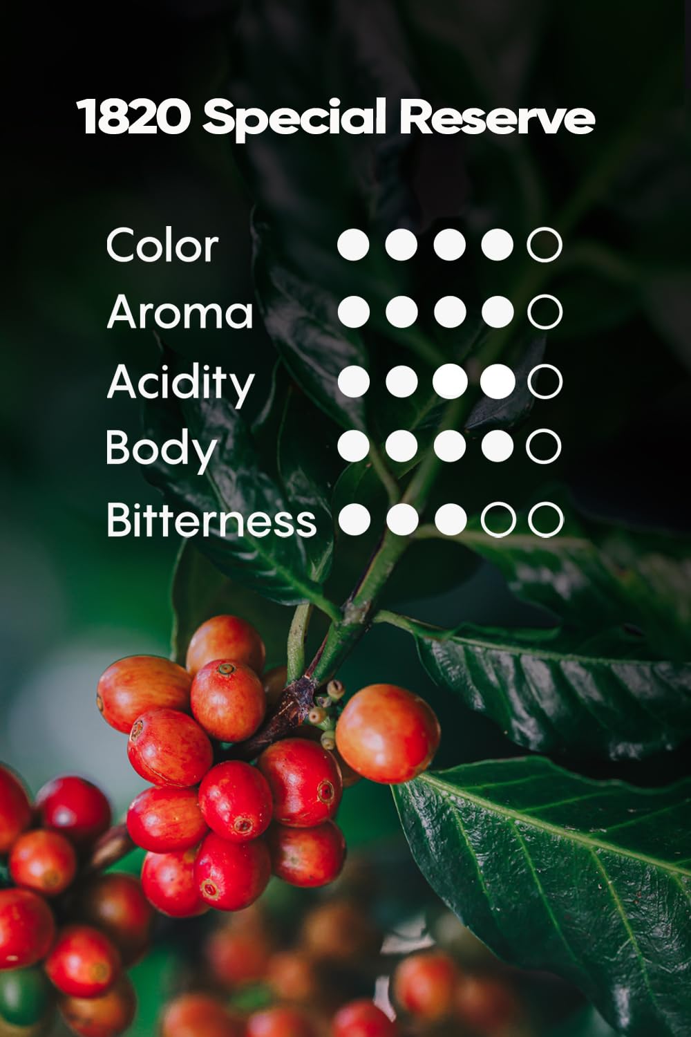 Café 1820 High Altitude Blend, Special Reserve Ground Coffee, 100% Arabica, Medium Roast 12 oz (2 Pack)